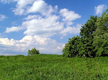 Yaz manzara ve doğa göz için bir giriş olarak çim ile kaplıdır.