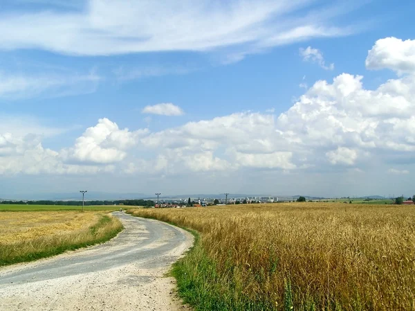 Az utat a gabona mezőket, hogy a falu. — Stock Fotó