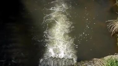 Şelale ve bahar doğa Nehri.