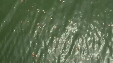 Gölün su yüzeyindeki dalgalar.