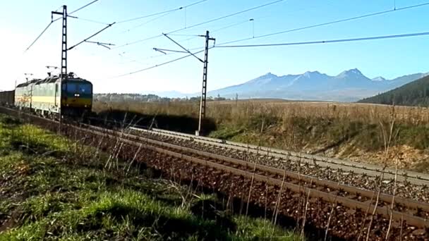 Pociąg towarowy w transporcie lądowym towarów. — Wideo stockowe