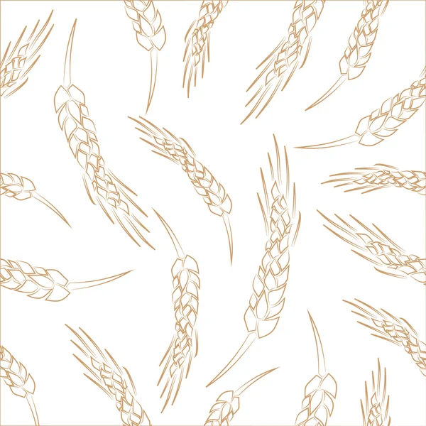 Рука намальована безшовним векторним фоном з колосків пшениці — стоковий вектор