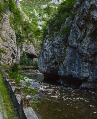 Romanya 'nın Gorj ilinde Sohodol Vadisi (Cheile Sohodolului), Valcan dağları kıyılarda kayalar ve yemyeşil bitkilerle çevrili.