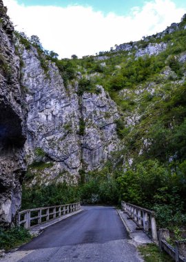 Romanya 'nın Gorj kentinde yer alan Sohodol Vadisi (Cheile Sohodolului), Valcan dağları, kayalıklar ve yemyeşil bitkilerle çevrili kayalık araziden geçen köprü ve yol.