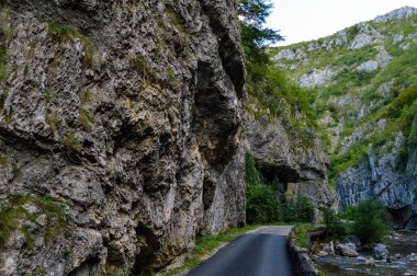 Romanya 'nın Gorj ilinde kayalıklar ve yemyeşil bitki örtüsü, Sohodol Vadisi (Cheile Sohodolului), Valcan Dağları ve Gorj ilçesinde yer alan kayalık araziden geçen yol.