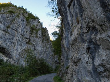 Romanya 'nın Gorj ilinde kayalıklar ve yemyeşil bitki örtüsü, Sohodol Vadisi (Cheile Sohodolului), Valcan Dağları ve Gorj ilçesinde yer alan kayalık araziden geçen yol.