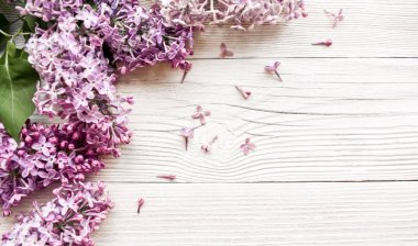 Beyaz ahşap bir arka planda mor kokulu leylak dalları. Üst görünüm.