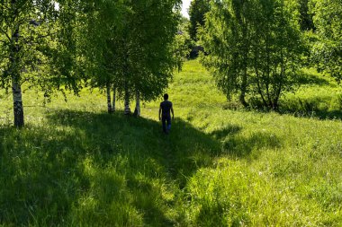 Yeşil huş ağacı geçidinde bir adam yürüyor. Rusya 'nın doğası. Doğada huzur içinde yatsın..