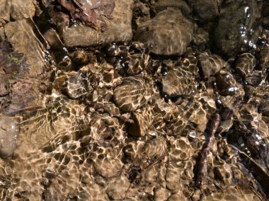 Nehirde akan sığ su, soyut dalga biçimleri, ışık kırılması.