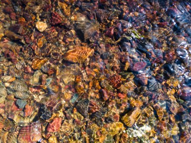 Derenin ayrıntıları, sığ su renkli çakılların üzerinden akar ve güneşli bir yaz gününde kırılan ışığın desenini oluşturur..