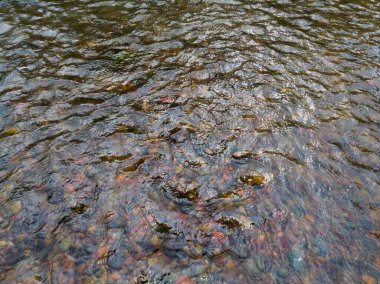Suyun dalgalı dalgalı yüzeyi, yüzeyinde renkli çakıl taşları derede akan soyut desenli su manzarası olan sığ ve hızlı bir akarsu.
