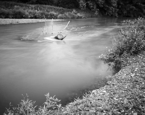 Landscape Tree Log Fast River Murky Rapid Current Creek — Stock Photo, Image