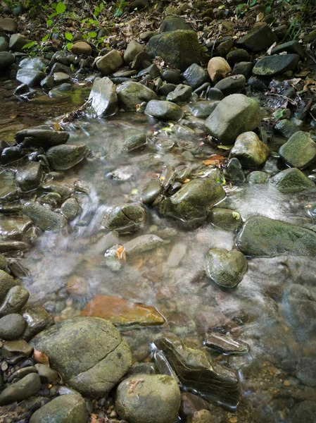 Detalhe Paisagem Íntima Riacho Montanha Rasa Floresta Pedras Molhadas Leito — Fotografia de Stock