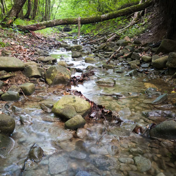 Landschaft Mit Flachem Gebirgsbach Wald Nassen Steinen Flussbett Und Abstrakt — Stockfoto