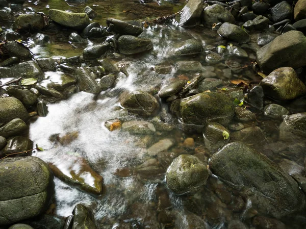 森林中浅浅的山溪 河床中的湿石子 抽象清澈的流水 美丽的自然的风景细节 — 图库照片