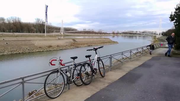 Hırvatistan Osijek Kentindeki Drava Nehri Üzerindeki Gençlik Köprüsü Kış Limanının — Stok video