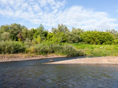 Hızlı su akıntısı çakıl kıyılarını aşındırır, çakıl yatağı ortamı nehirde