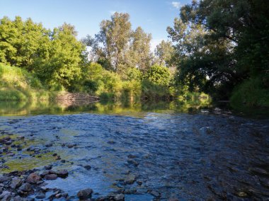Nehrin akıntılı manzarası ve yansımalı düz yüzeyi, yeşillikle kaplanmış bankalar, güneşli yaz gününde çimen ve ağaçlarla dolu nehir bölgesi, doğal ekosistem.