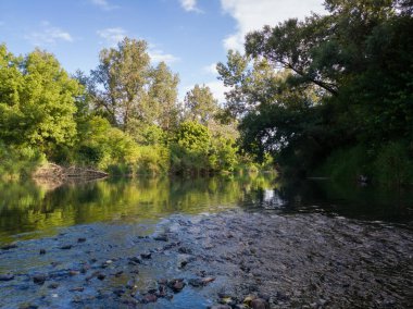 Nehrin akıntılı manzarası ve yansımalı düz yüzeyi, yeşillikle kaplanmış bankalar, güneşli yaz gününde çimen ve ağaçlarla dolu nehir bölgesi, doğal ekosistem.