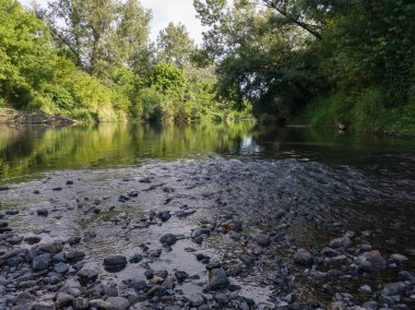 Nehrin akıntılı manzarası ve yansımalı düz yüzeyi, yeşillikle kaplanmış bankalar, güneşli yaz gününde çimen ve ağaçlarla dolu nehir bölgesi, doğal ekosistem.