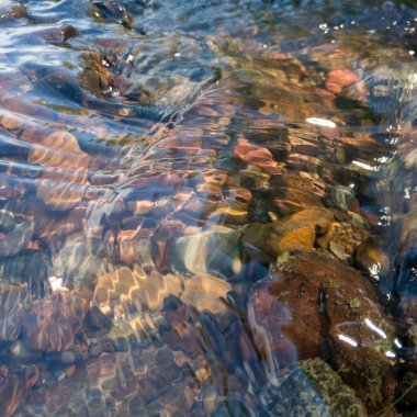 Deredeki temiz ve berrak su, sığ derenin dibindeki taşlar.