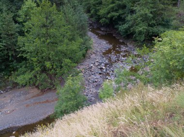 Yazın Petrovo yakınlarındaki Ozren Dağı 'ndaki ormandan geçen kayalık Jadrina deresinin manzarası.