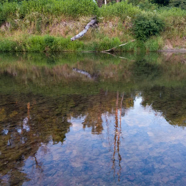 Krajobraz Rzeką Martwe Drzewo Pochylić Się Nad Wodą Odbicie Drzewa — Zdjęcie stockowe