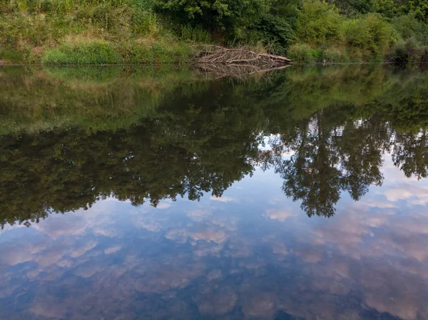 Krajobraz Rzeki Płaską Powierzchnią Lustra Martwe Drzewo Pobliżu Brzegu Odbicie — Zdjęcie stockowe