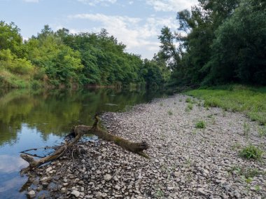 Güneşli bir gün, doğada bulutlar, nehir manzarası ve yaz boyunca ormanlık nehir bölgesi..