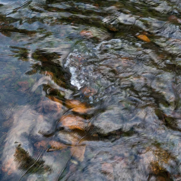 Dettaglio Torrente Acqua Poco Profonda Flusso Rapido Sulle Pietre — Foto Stock