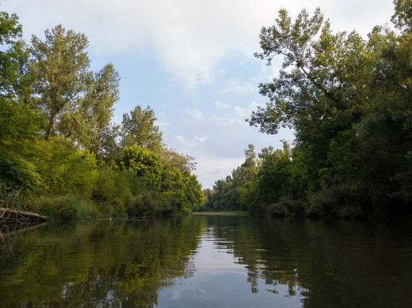 Güneşli bir gün, doğada bulutlar, nehir manzarası ve yaz boyunca ormanlık nehir bölgesi..