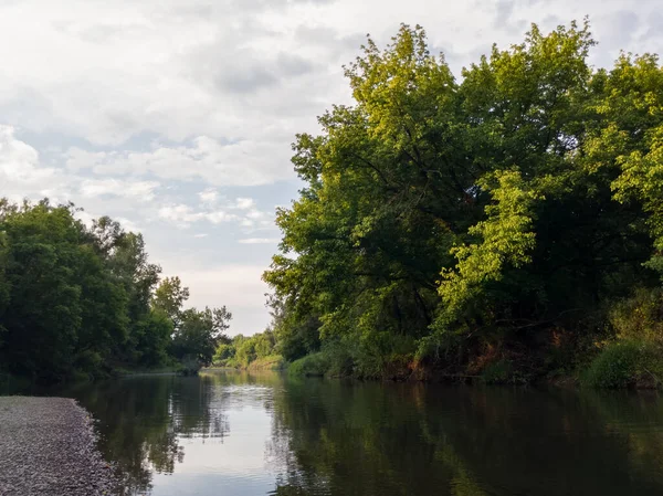 Güneşli bir gün, doğada bulutlar, nehir manzarası ve yaz boyunca ormanlık nehir bölgesi..