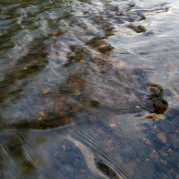 Détail Ruisseau Écoulement Rapide Peu Profond Courant Eau Sur Fond — Photo