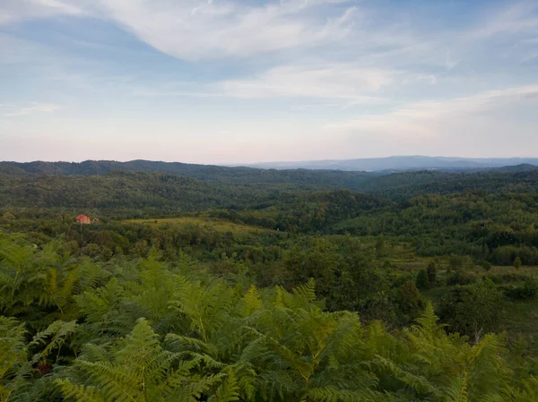 Hügelige Landschaft Mit Wiesen Und Laubwäldern Der Abenddämmerung Landschaftspanorama Den — Stockfoto