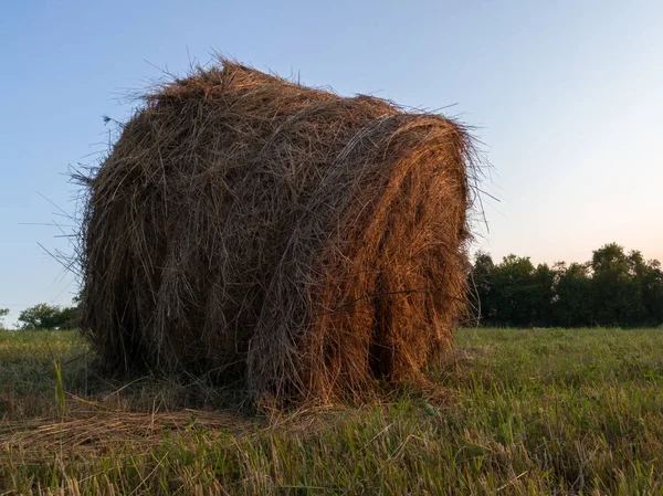 Rural Landscape One Bent Roll Bale Field Blue Hour Straw — Stock Photo, Image