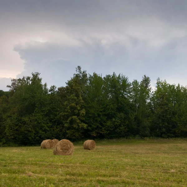 Landelijk Landschap Met Rollen Hooi Weide Rolbalen Tijdens Bewolkte Zomerdag — Stockfoto