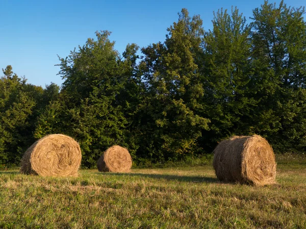 Paesaggio Rurale Con Rotoli Fieno Prato Rotolo Balle Durante Mattina — Foto Stock