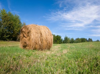 Güneşli yaz gününde tarlada tek bir saman balyası, kışın sığır yemi.