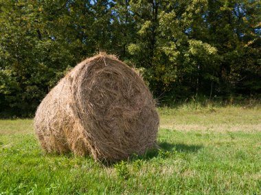 Güneşli yaz gününde tarlada tek bir saman balyası, kışın sığır yemi.