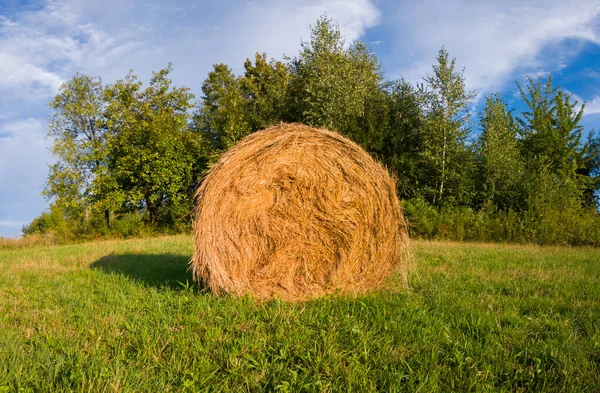 Scena Campagna Con Balla Singolo Rotolo Fieno Campo Contro Boschetto — Foto Stock