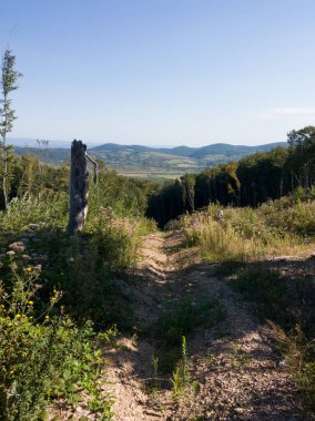 Bosna-Hersek 'in Banja Luka kenti yakınlarındaki ormanlarla kaplı Manjaca Dağı' nın Hilly manzarası