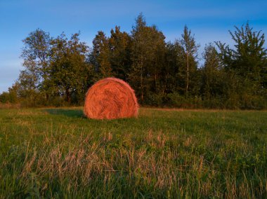 Yaz mevsiminin altın saatinde çayırda tek bir samanlığın uzun pozu kırsal alanda sığır yemi.
