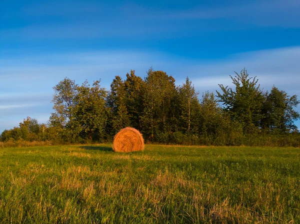 Lange Blootstelling Schot Van Enkele Ronde Hooiberg Het Weiland Tijdens — Stockfoto