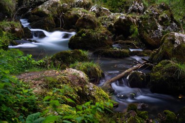 Krupa nehrinde yosunlu kayalar, uzun süre açık ipek su, huzur verici bir manzara.