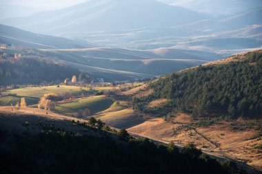 Sabahın erken saatlerinde otlakların aydınlatıldığı dağlık kırsal manzara ve Zlatibor Dağı 'ndaki puslu dağlar, Ekim ayında Sırbistan kırsalını, sonbahar mevsimini ziyaret ediyor
