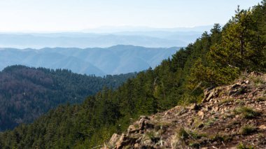 Tornik dağlarının zirvesine bakan ve tepe tepe kırsal manzarası ve sisli uzak dağ katmanları sunan manzara, sonbahar sezonunda Sırbistan 'ı ziyaret ediyor