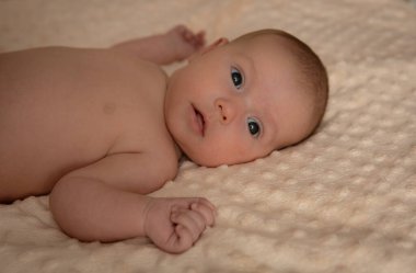 2 ay ya da 6 haftalık şirin bebek portresi. Seçici odak