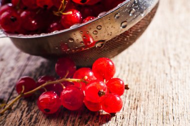 Taze kırmızı kuş üzümü bir