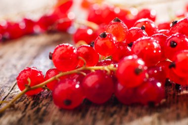  Taze bezelye in.beans portre