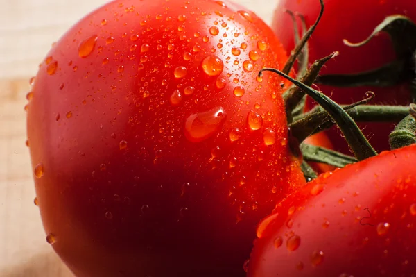 Tres tomates frescos — Foto de Stock